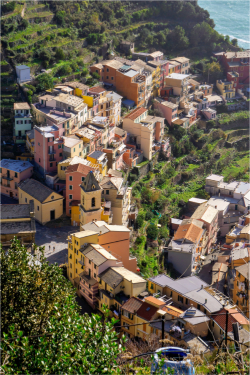 Main image Manarola - Cinque Terre